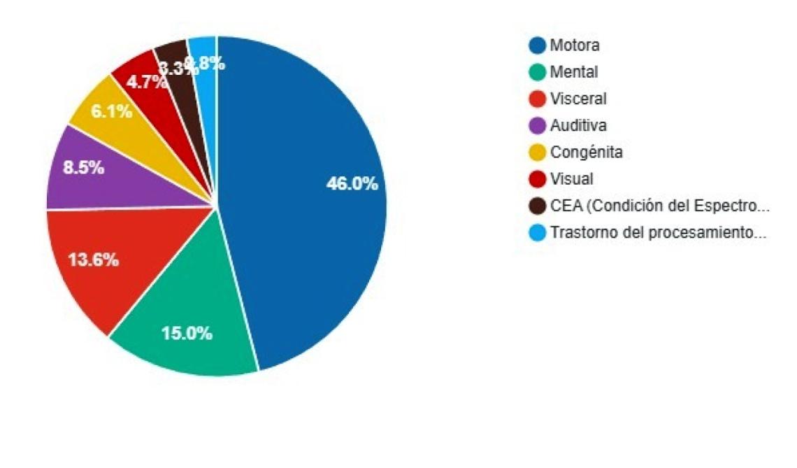 Grafico Discapacidad Dolores 2025