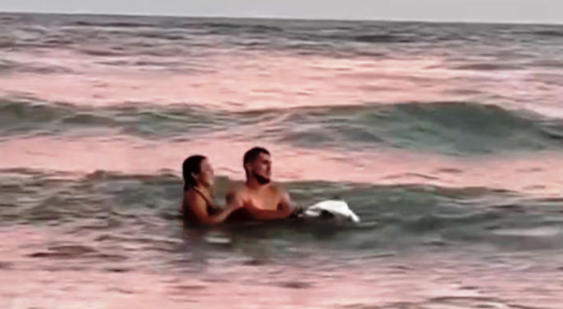 Imagen de Monte Hermoso: una pareja sacó a un pingüino del mar para sacarse fotos y desató indignación