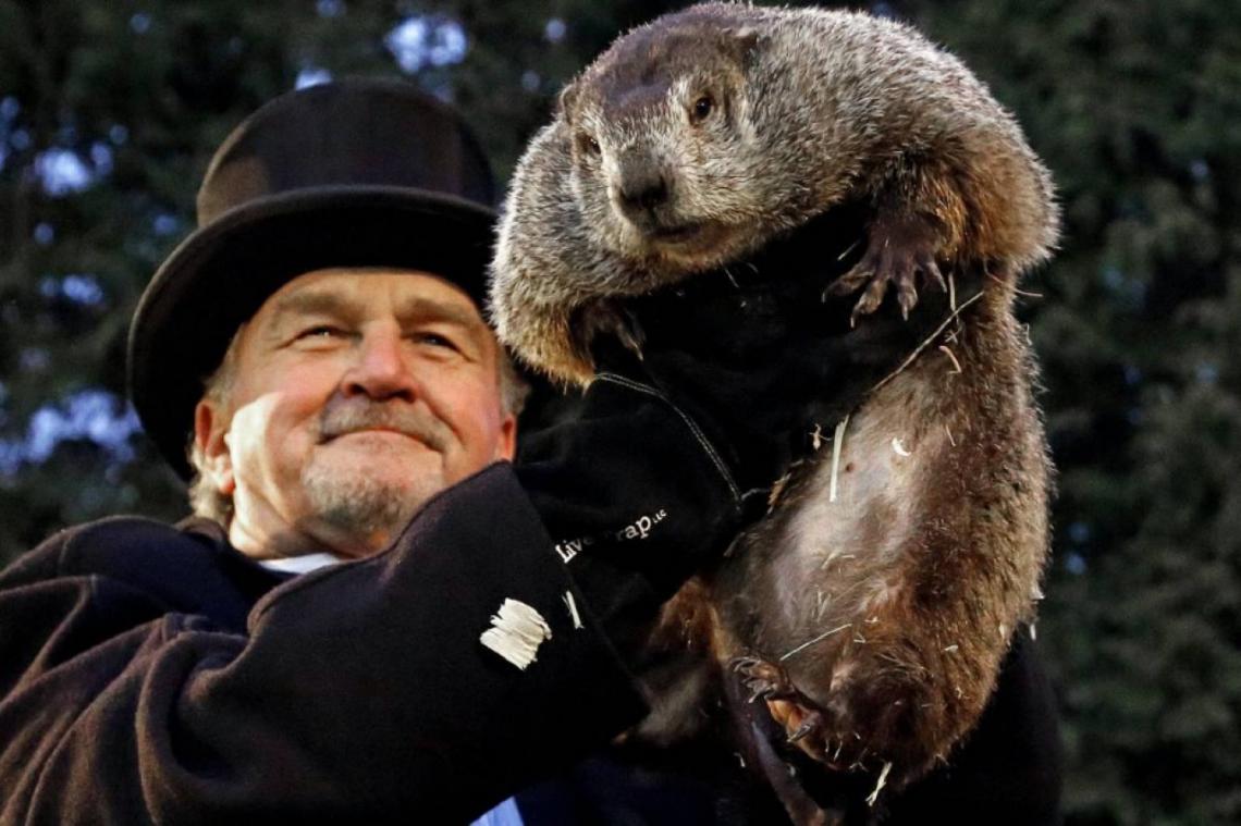 Día de la Marmota por qué se celebra hoy Entrelíneas.info