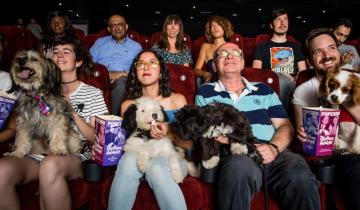 Imagen de En un municipio bonaerense realizarán una función de cine para perros