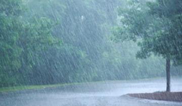 Imagen de Emiten un alerta para todo el día por lluvias y tormentas fuertes en la Región
