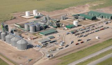 Imagen de Invierten 50 millones de dólares para crear la planta de etanol más grande del país