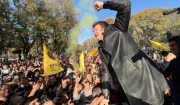 Imagen de C-Boy, el león que vence a la manada de leones