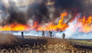 Imagen de Día de la Prevención de Incendios Forestales: por qué se celebra hoy 18 de agosto