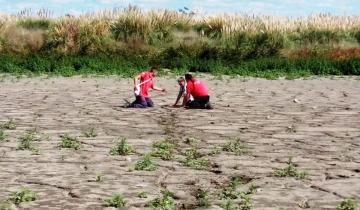 Imagen de Chascomús: una mujer y una retroexcavadora, víctimas de la sequía que sufre la laguna