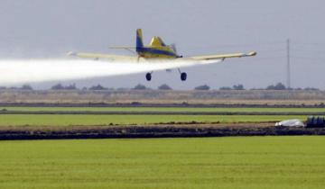 Imagen de La Provincia: el Defensor del Pueblo pidió un marco regulatorio para las fumigaciones