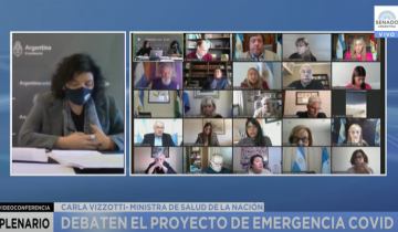 Imagen de El proyecto de Emergencia Covid logró dictamen favorable en el Senado