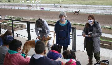 Imagen de Una argentina fue elegida entre los 10 mejores docentes del mundo: la historia de la maestra que da clases fuera del aula