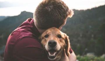 Imagen de Canceló la boda porque su perro casi muere en la despedida de soltera de su novia