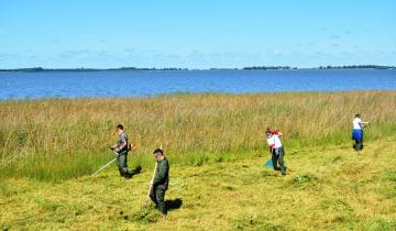 Imagen de Comenzó el operativo de saneamiento de la costanera de la laguna de Chascomús