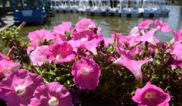 Imagen de Primavera: por qué este año empezó el 23 de septiembre