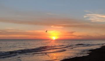 Imagen de La foto del mar de Manu Ginóbili que fue furor en las redes