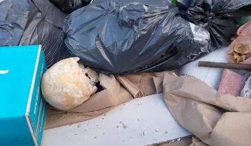 Imagen de Mar del Plata: hallaron un cráneo dentro de un volquete frente al Golf de Playa Grande