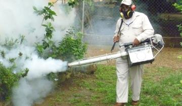 Imagen de Dengue: para la Provincia estamos frente a la epidemia más grande de la historia del país