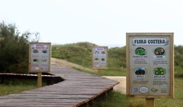 Imagen de Partido de La Costa: construyen biosenderos para poner en valor la flora y fauna de la región