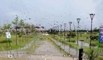 Imagen de La Región: emiten un alerta amarilla por lluvias y viento