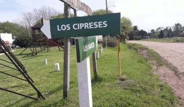 Imagen de Cuánto dinero será la base de la subasta para los terrenos en el Paraje Las Chacras, en General Lavalle