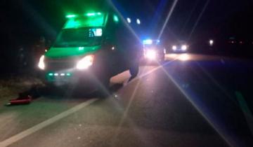 Imagen de Pila: un patrullero chocó una vaca en Ruta 41