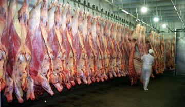 Imagen de Economía: suspenden las exportaciones de carne por 30 días para contener los precios