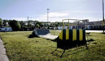 Imagen de Mar del Plata: barras de Aldosivi balearon a un nene y a 3 jóvenes y mataron a un perro en una plaza