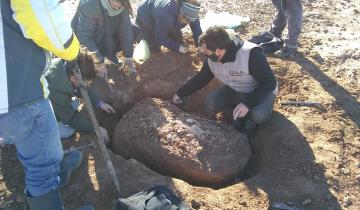 Imagen de Miramar: pescadores hallaron restos fósiles de unos 100 mil años de antigüedad