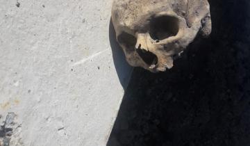 Imagen de Encontraron un cráneo humano sobre la Ruta 56