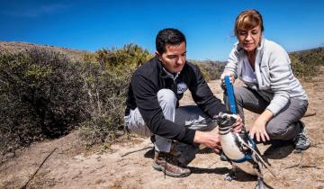 Imagen de Un biólogo de Mar del Plata ganó el premio a la conservación animal más importante a nivel mundial