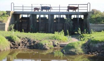 Imagen de Autoridades provinciales expondrán sobre la cuenca del Canal 5