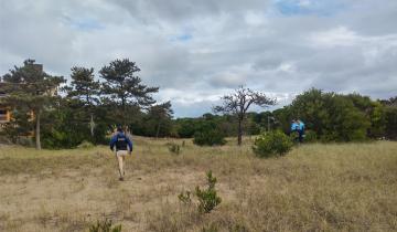 Imagen de Villa Gesell: tras el pedido de los padres del joven desaparecido, Policía Federal se sumó a la investigación