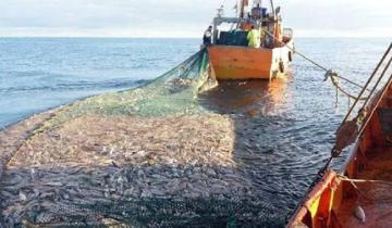 Imagen de General Lavalle: cómo será el protocolo para la temporada de pesca de la corvina negra