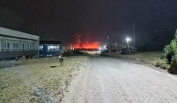 Imagen de Bomberos de la región combaten un importante incendio forestal en Mar Chiquita