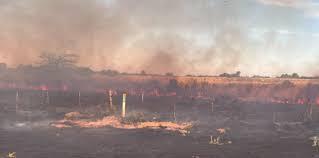 Imagen de Impactante incendio se registró a los costados de la Ruta 2 cerca de un barrio privado