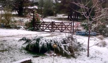 Imagen de La nieve llegó a la Provincia: conocé qué distrito amaneció teñido de blanco