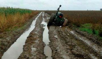 Imagen de La Provincia: el 71% de la red de caminos rurales se encuentra en mal estado