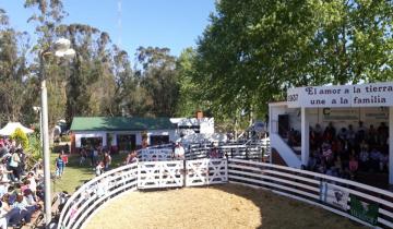 Imagen de Continúa la Expo Rural en Dolores