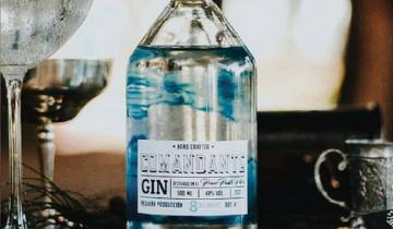 Imagen de Comandante: el primer gin artesanal destilado en Dolores, el primer pueblo patrio