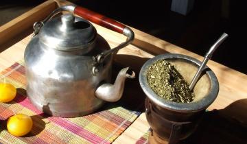 Imagen de Hoy es el Día Nacional del Mate