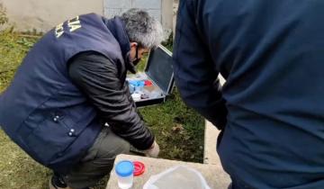 Imagen de Balcarce: encuentra restos de un pene mientras cortaba el pasto