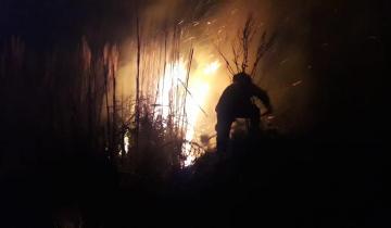 Imagen de Anoche se desató un incendio forestal en la Ruta 11