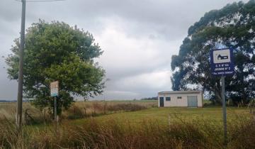 Imagen de Tandil: citan a declaración indagatoria a 5 personas por fumigar con agroquímicos en zonas prohibidas