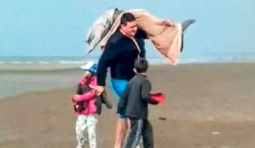 Imagen de El Ministerio de Ambiente denunció penalmente al hombre que capturó un delfín en Mar del Tuyú