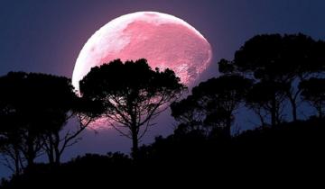 Imagen de Llega la “Luna Rosa”: qué es y dónde se puede ver