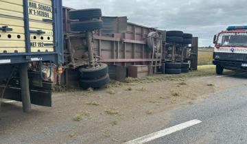 Imagen de General Lavalle: 40 terneros murieron al volcar un camión en Ruta 11