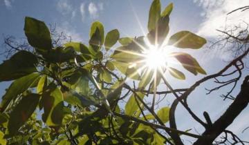 Imagen de Sube la temperatura: ¿se viene un “mini-veranito” en la región?