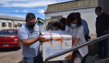 Imagen de Llegaron nuevas vacunas a Olavarría y se establecieron nuevos controles en los freezers de almacenamiento