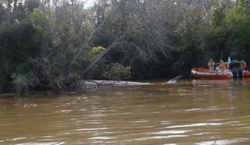 Imagen de Una ballena fue hallada sin vida en el Río Paraná