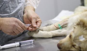 Imagen de Las localidades donde estará el Hospital Municipal Veterinario en La Costa