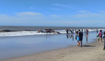 Imagen de Villa Gesell: tras varias horas de trabajo, rescataron a una ballena encallada en la playa