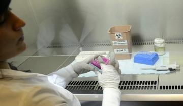 Imagen de Murió un hombre por coronavirus en Mendoza y ya son 14 las víctimas fatales