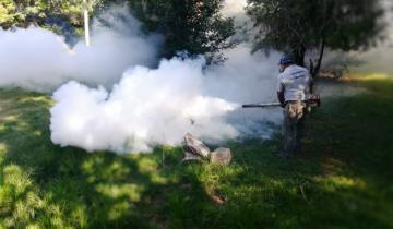 Imagen de Un hombre de Berisso es el cuarto fallecido por dengue en la Provincia